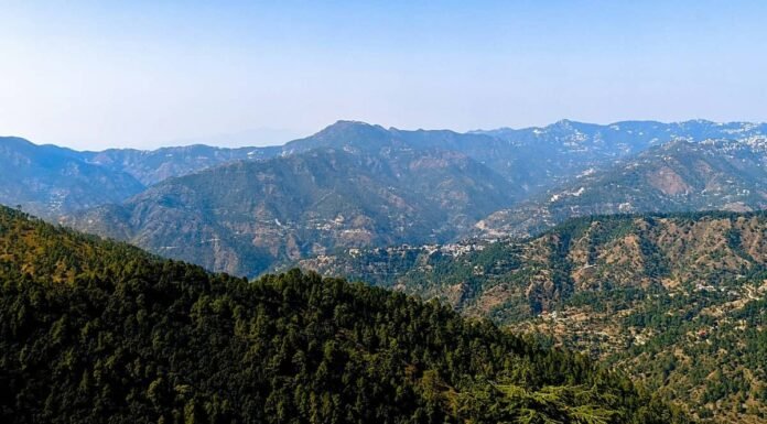 Chail Solan