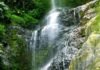 Chadwick Falls Shimla