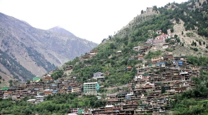 Lippa Kinnaur