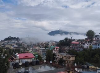 What is special in Solan?