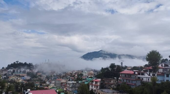 What is special in Solan?