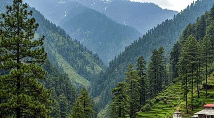 Himachal Pradesh GK Questions