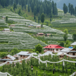 Madavag Village